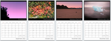 Load image into Gallery viewer, Functional Films : 2022 Calendar
